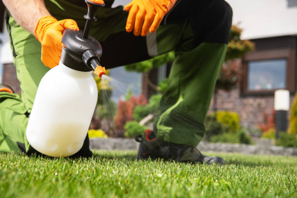 Best Residential Pest Control  in Mansura, LA