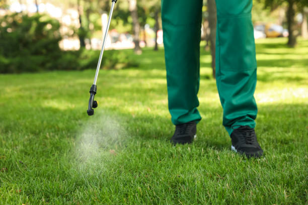 Best Cockroach Control Services  in Mansura, LA