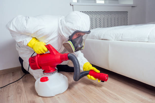 Best Best Pest Control Companies  in Mansura, LA