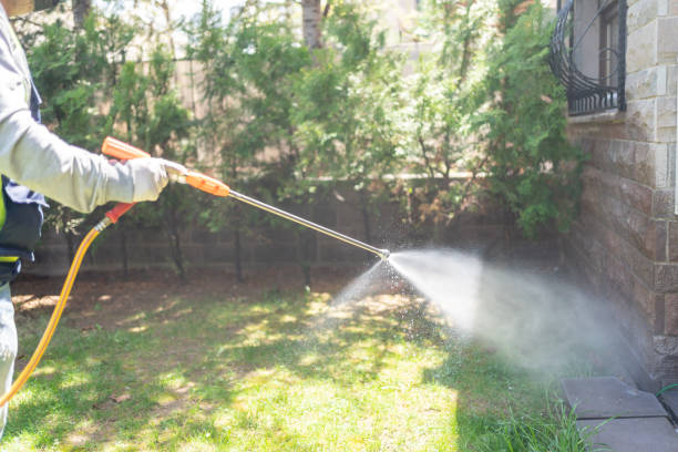 Best Affordable Pest Control Services  in Mansura, LA