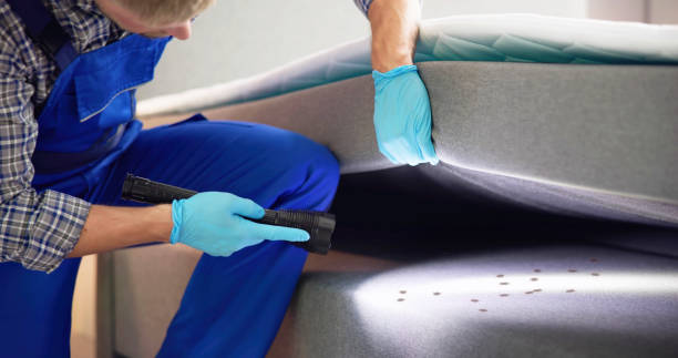 Best Commercial Pest Control Services  in Mansura, LA