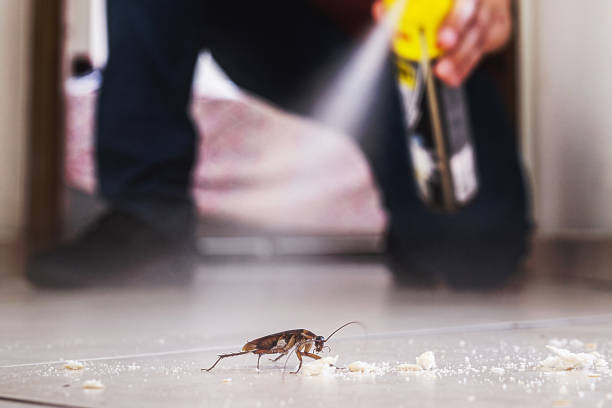 Best Pest Inspection Near Me  in Mansura, LA