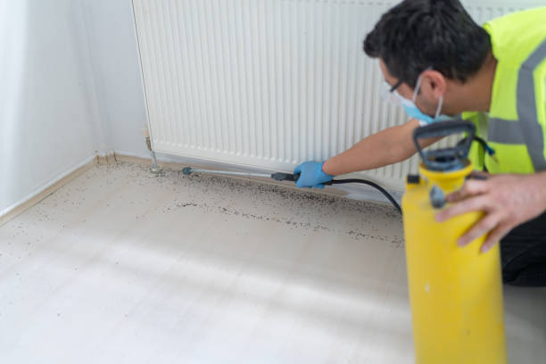 Trusted Mansura, LA Pest Control Experts